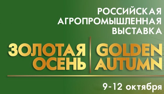 выставка золотая осень 2013